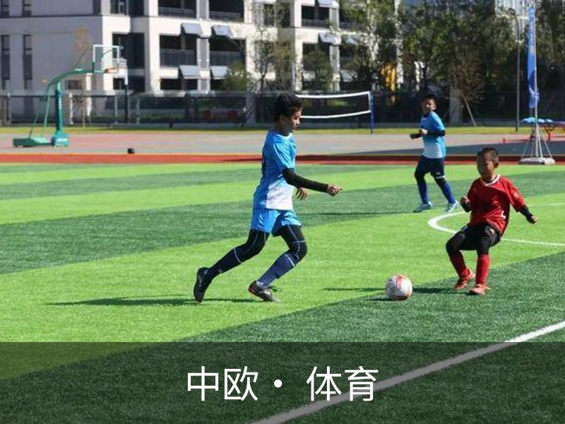 中欧· 体育概况