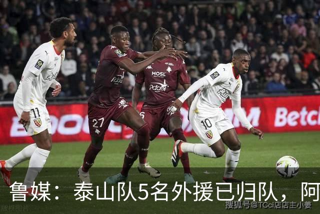 鲁媒：泰山队5名外援已归队，阿尔瓦罗6月份复出难度比较大